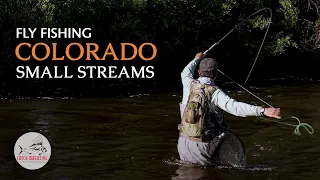 Colorado Fly Fishing - Small CREEK Trout Fishing