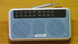 Bluetooth колонка с FM Радио Rolton E500