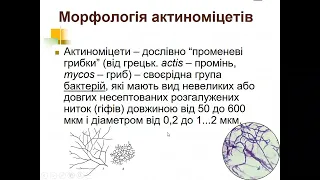 Лекція 5 04 22