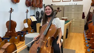 Daphne Cello Surprise