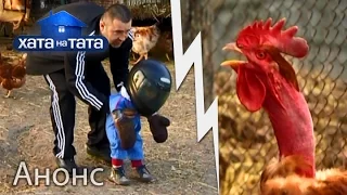 Бойцовский петух vs блатной папа. Кто победит? – Хата на тата 5. Смотрите 19 сентября