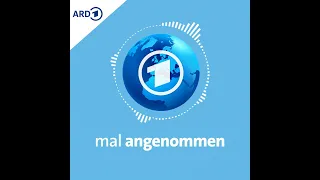 Keine Steuern mehr? Was dann? | mal angenommen - tagesschau-Podcast