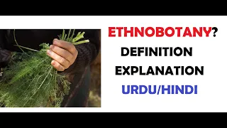 What is Ethnobotany?| Examples | Importance | Uses | Urdu/Hindi