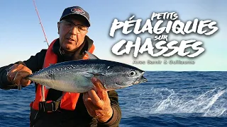 Stratégie de pêche sur chasse avec Samir Kerdjou et Guillaume Baylac