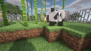 Minecraft Panda Zoo Exhibit - Minecraft Zoo Part 1