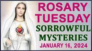 The Rosary Today I Tuesday I January 16 2024 I The Holy Rosary I Sorrowful Mysteries