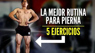 LA MEJOR RUTINA DE PIERNA (SOLO 1 HORA DE ENTRENAMIENTO)