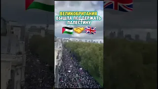 #мусульмане #ислам #palestine #islam #muslim #умма #umma #палестина #дагестан #кавказ