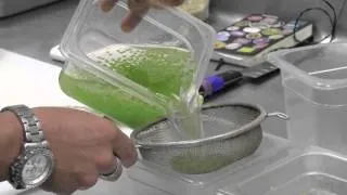 Creating Cucumber Caviar at Broadway Gourmet