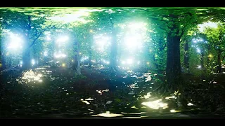 vr 360 firefly flying in the forest SBV 337778749 4K