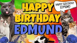 Happy Birthday Edmund! Crazy Cats Say Happy Birthday Edmund (Very Funny)