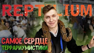 Рептилиум / Reptilium 2022. Лучшая выставка экзотов в России!