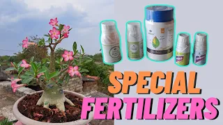 Utkarsh fertilizer for adenium| utkarsh calciBoron| utkarsh f plus | fertilizers unboxing