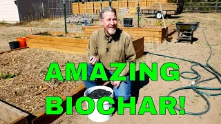 How to Use Biochar in Your Garden (Amazing Benefits)