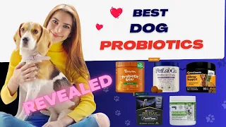 Top 5 Best  Probiotics for Dogs Supplement Review in 2023