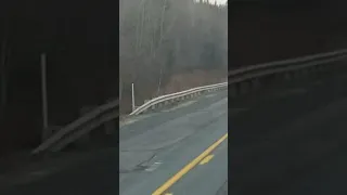 Bigfoot sighting New Brunswick Canada