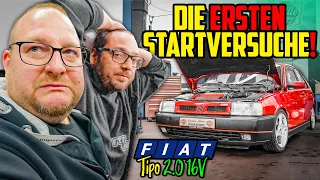 ALLES geht SCHIEF! - Fiat Tipo Sedicivalvole - Die Nerven liegen BLANK!