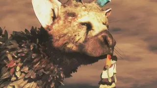 В двух словах история мира The Last Guardian