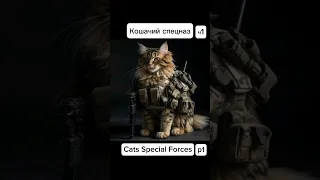 Кошачий спецназ Cats Special Forces #youtube #cat #specialforces  #спецназ #shorts