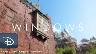 The Rohde’s, Less Traveled: Windows of Disney's Animal Kingdom Theme Park | #DisneyMagicMoments