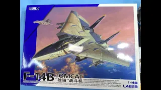 Sprue Review New Tool Great Wall Hobby 1/48 F-14B Tomcat