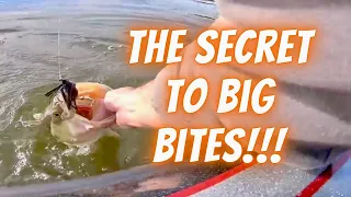 Lake Fork Winter Jig Fishing Tips: The Secret 90% Of Us Don't Use To Get Big Winter Bass To Bite!!!
