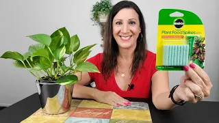 Miracle Gro Plant Food How To Use - Fertilizer Spikes for Indoor Plants