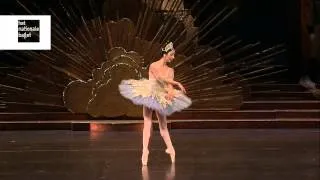 Victoria Ananyan Blue Bird Variation