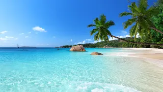 Relaxing Waikiki Wave Sounds 8 HOURS : Tropical Beach Sounds, Paradise Beach Sounds For Deep Sleep