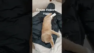 После Нового года