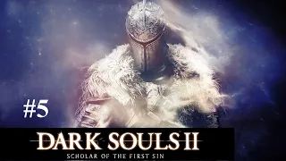 Забытая крепость. Стражи Руин [Dark Souls 2 Scholar of the First Sin #5]