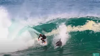 Soli Bailey Gets Dropped In On By A Dolphin