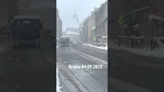 Ninge la Brașov! 04.04.2023!