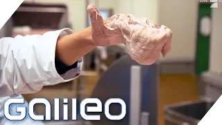 Arbeiten in einer Wurstfabrik - so hart ist der Job wirklich! | Galileo | ProSieben