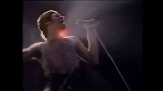 Queen: All the Live Footage from 'The Champions' Documentary! - 1979