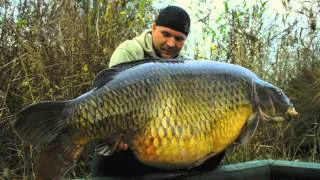 Worlds Biggest Carp Fish ever caught