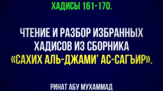 17. «Сахих аль-Джами’ ас-Сагъир». Хадисы 161-170. || Ринат Абу Мухаммад