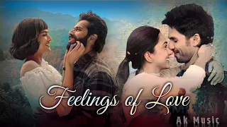 Felling Of Love |  Shreya Ghoshal Songs | Ak Music | Trending Mashup Songs | Felling Of Love Mashup