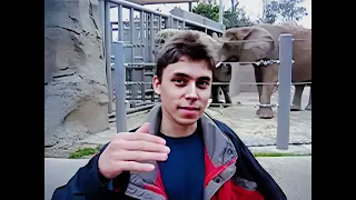 Me at the zoo UPSCALED 8K 60FPS