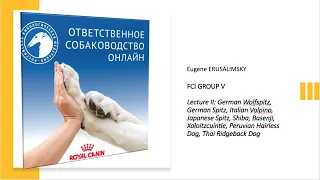Особенности судейства десяти групп пород FCI: Группа V ч. 2 | «Ответственное собаководство онлайн»