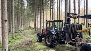 STÄDAR UPP SKOGEN EFTER STORMEN  (Del 2) 🌳🌲🪚 CLEANING FOREST AFTER THE STORM  (Part 2) 🌲🚜 #youtuber