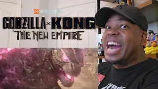Godzilla x Kong: The New Empire - It Is What It Is - Reaction!
