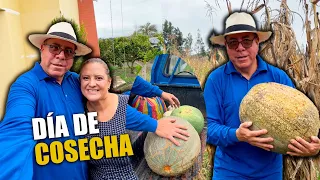 Encontramos los MEGA ZAPALLOS en la Huerta 😱🌱  | El Viejo