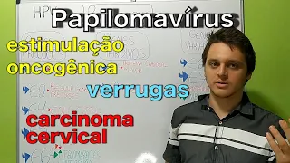 Papilomavírus humano (HPV)  | Curso de virologia | Medicina passo a passo