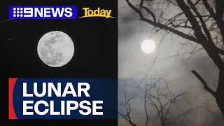 Lunar eclipse brightens night sky 2024 | 9 News Australia