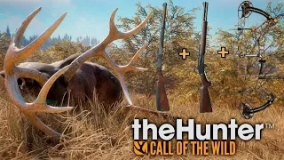 theHunter:Call of the Wild/Охота на Колумбийского Оленя