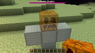 what if you create an iron golem in the end