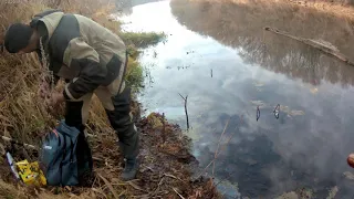 Речка по колено , А бойких щук и окуней много. на спиннинг