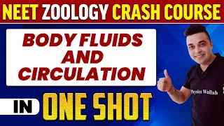 BODY FLUIDS AND CIRCULATION in 1 Shot : All Concepts, Tricks & PYQs | NEET Crash Course | UMMEED