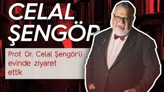 Prof. Dr. Celal Şengör ile röportaj / "Cahil toplumlar çöker"